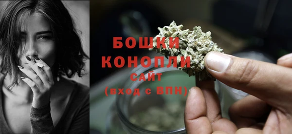 ПСИЛОЦИБИНОВЫЕ ГРИБЫ Майский