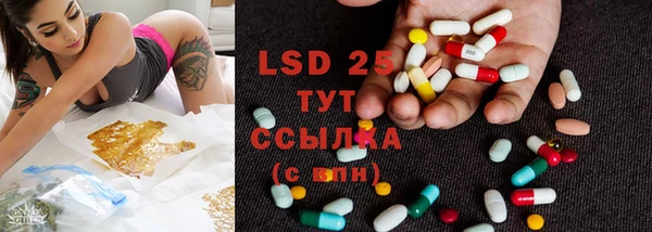 ПСИЛОЦИБИНОВЫЕ ГРИБЫ Майский