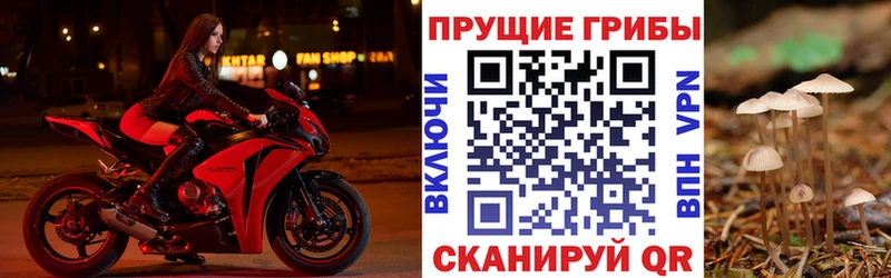 shop какой сайт  Лихославль  Псилоцибиновые грибы мицелий 